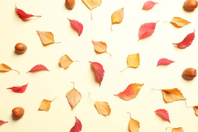 Flat lay composition with autumn leaves on color background