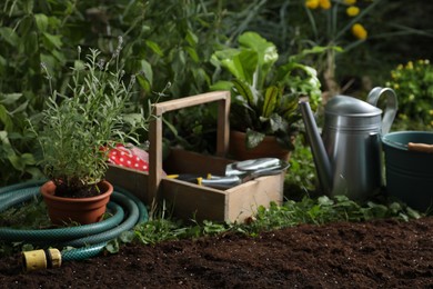 Photo of Beautiful lavender flower and gardening tools on soil  at backyard, space for text