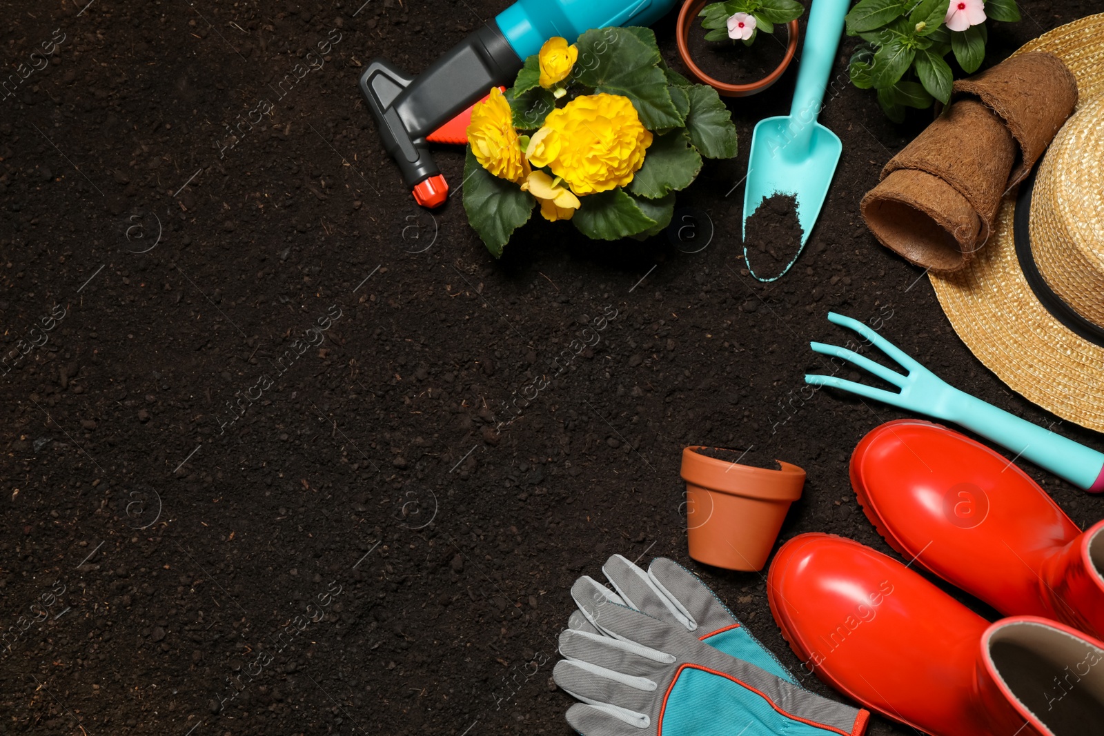 Photo of Flat lay composition with gardening equipment and flowers on soil, space for text