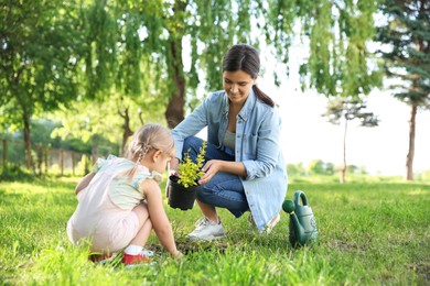 Photo of Mother and her daughter planting tree together in garden