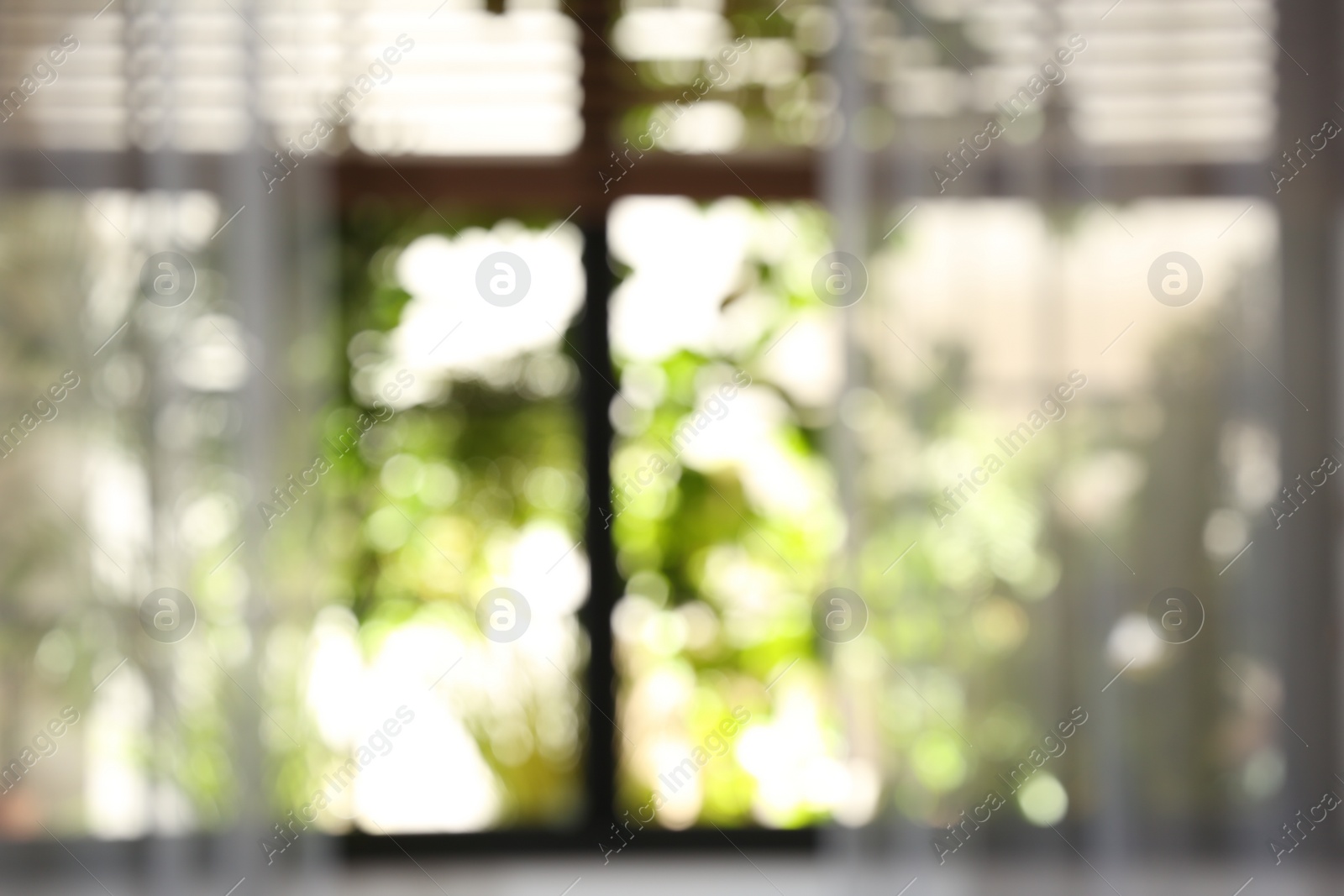 Photo of Blurred view through window on garden in morning
