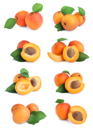 Image of Set of fresh apricots on white background