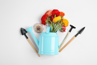 Beautiful flowers and gardening equipment on white background, top view