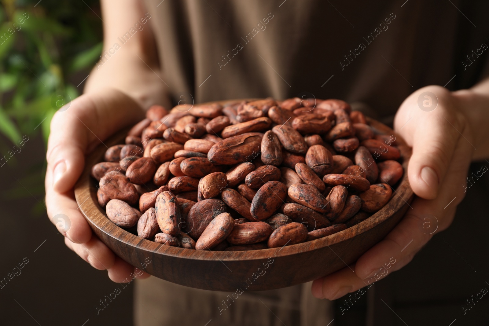 Photo of Woman holding wooden bowl of cocoa beans, closeup view