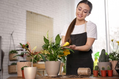 Photo of Young woman taking care of potted plants at home