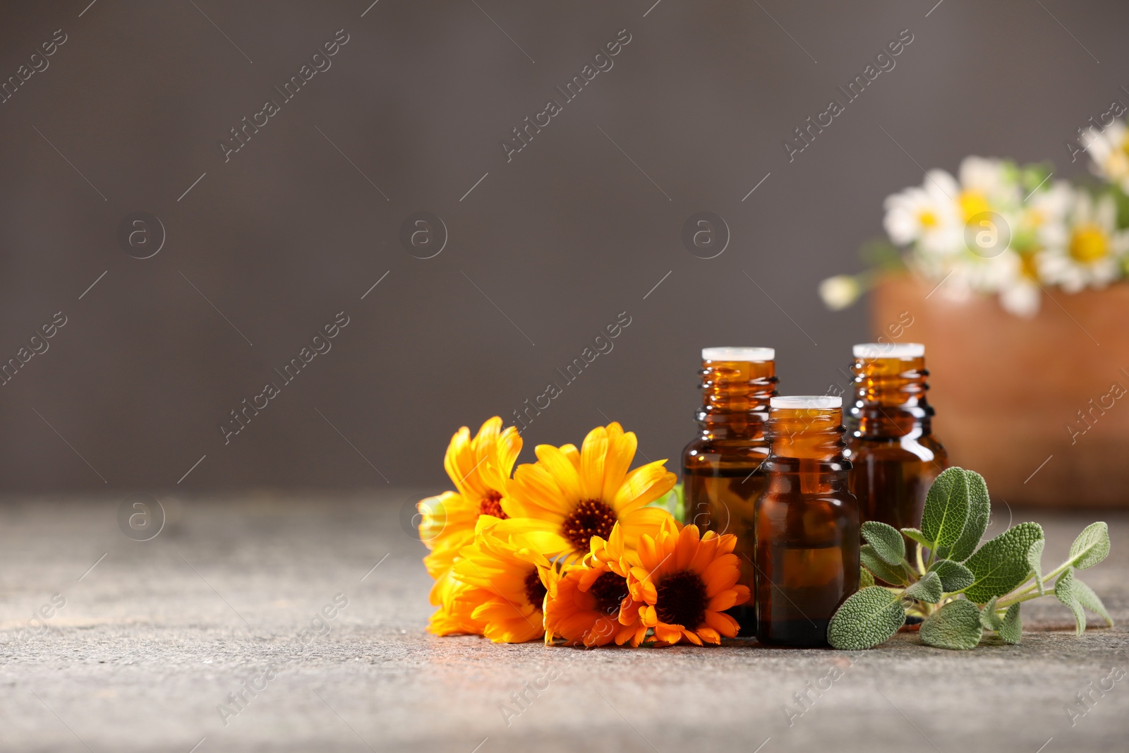 Photo of Bottles with essential oils, flowers and sage on grey textured table. Space for text