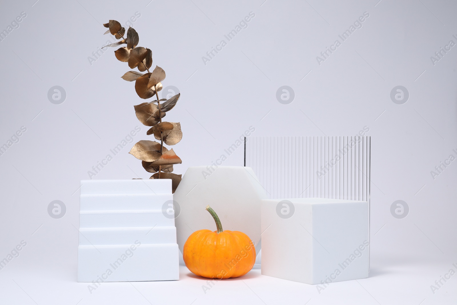Photo of Autumn presentation for product. Geometric figures, pumpkin and golden branch with leaves on white background