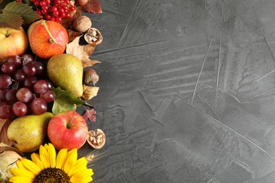 Autumn fruits and vegetables on grey background, flat lay with space for text. Happy Thanksgiving day