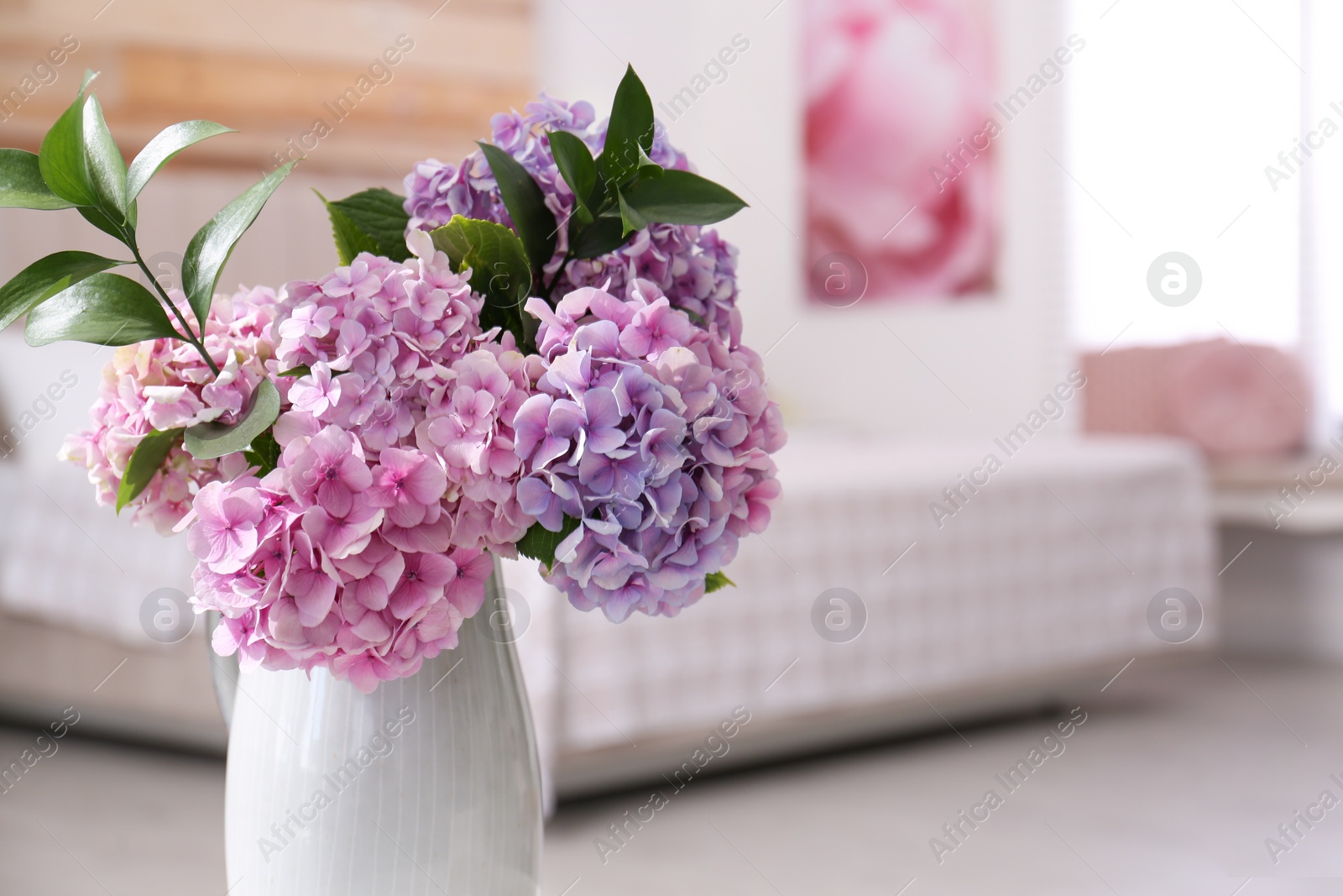 Photo of Closeup view of hydrangea flowers in bedroom, space for text. Interior design