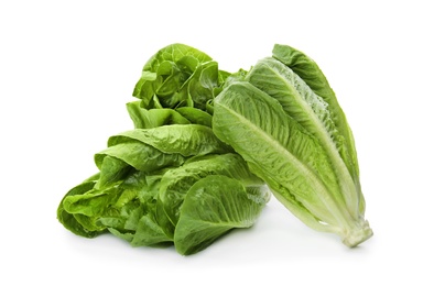 Photo of Fresh ripe cos lettuce on white background