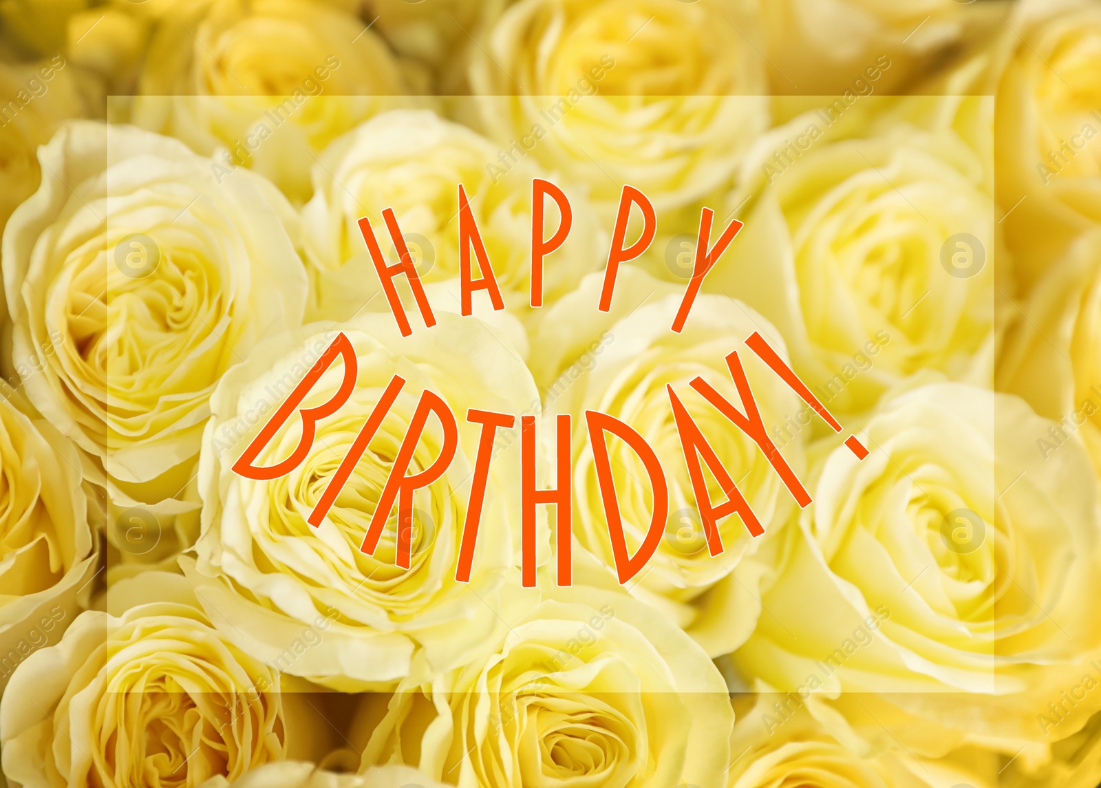 Image of Happy Birthday! Beautiful bouquet of yellow roses, closeup 