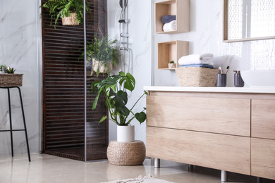 Bathroom interior with shower stall and houseplants. Idea for design