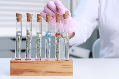 Photo of Scientist taking cork cap from test tube with plant at white table in laboratory, closeup