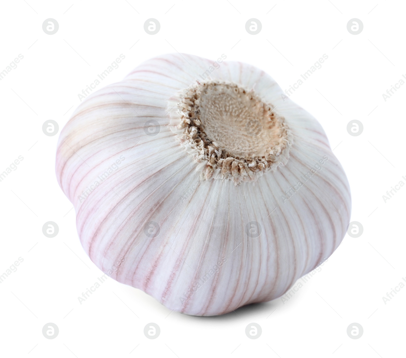 Photo of Fresh garlic on white background. Organic food