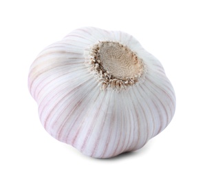 Fresh garlic on white background. Organic food