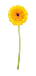 Photo of Beautiful yellow gerbera flower isolated on white, top view