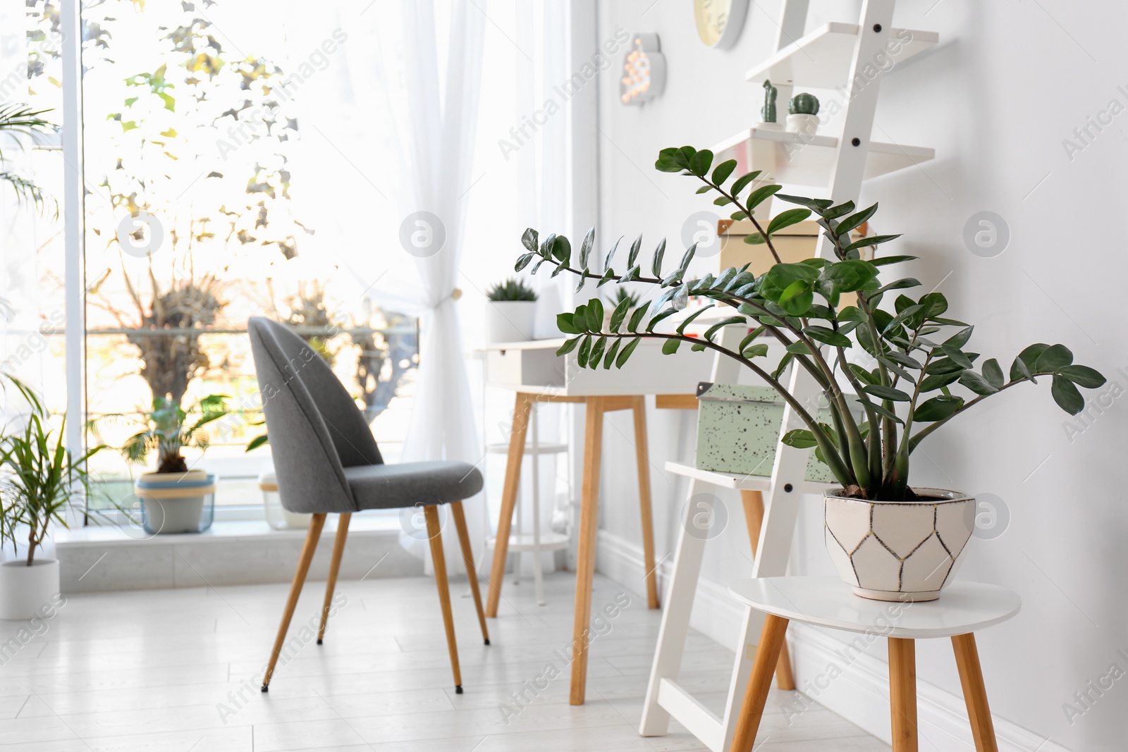 Photo of Stylish room interior with beautiful plants. Home design idea