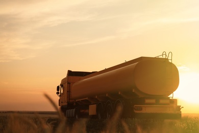 Modern truck parked near field at sunset