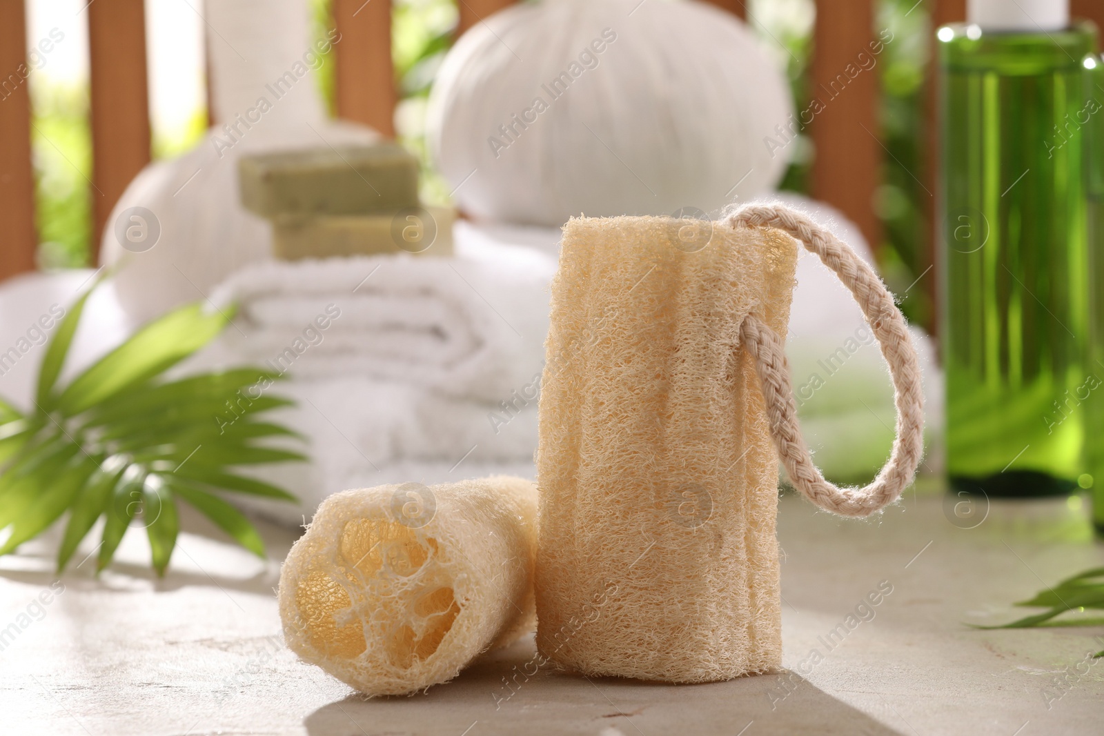 Photo of Natural loofah sponges on grey textured table