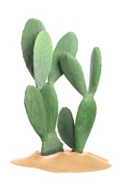 Image of Beautiful big cactus growing in sand on white background