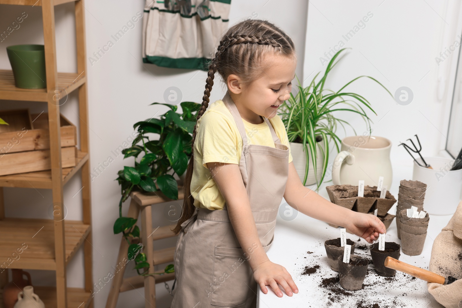 Photo of Little girl inserting cards with names of vegetable seeds into peat pots on window sill indoors