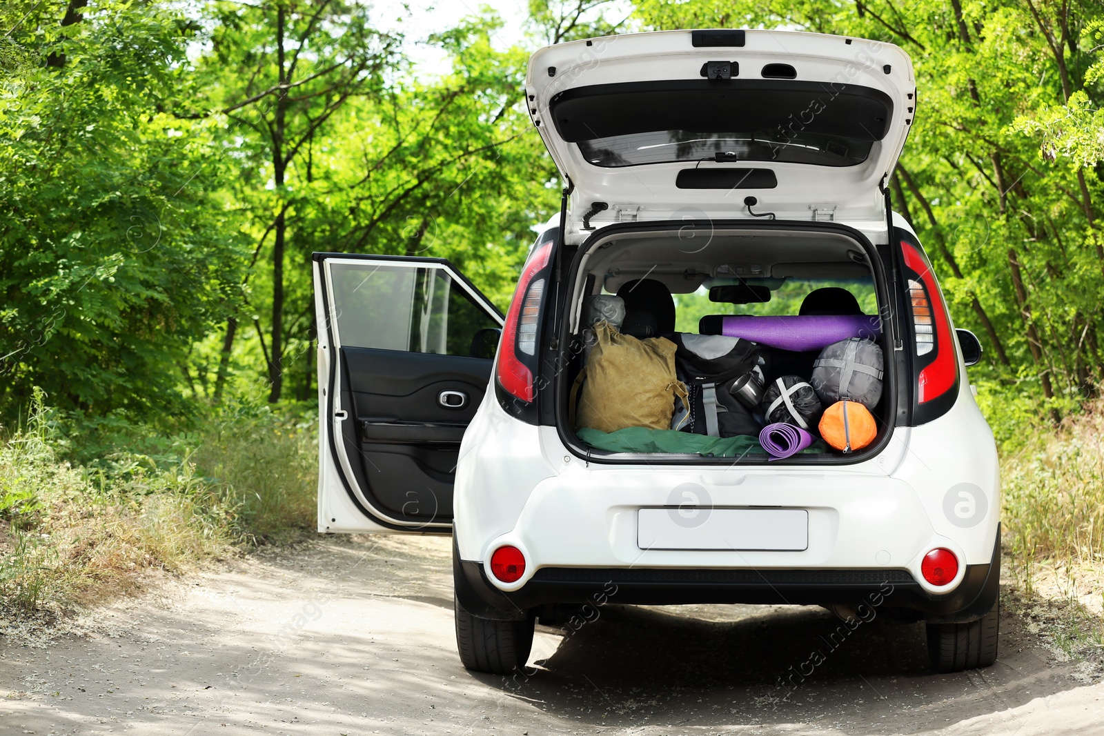 Photo of Car with camping equipment in trunk on forest road. Space for text