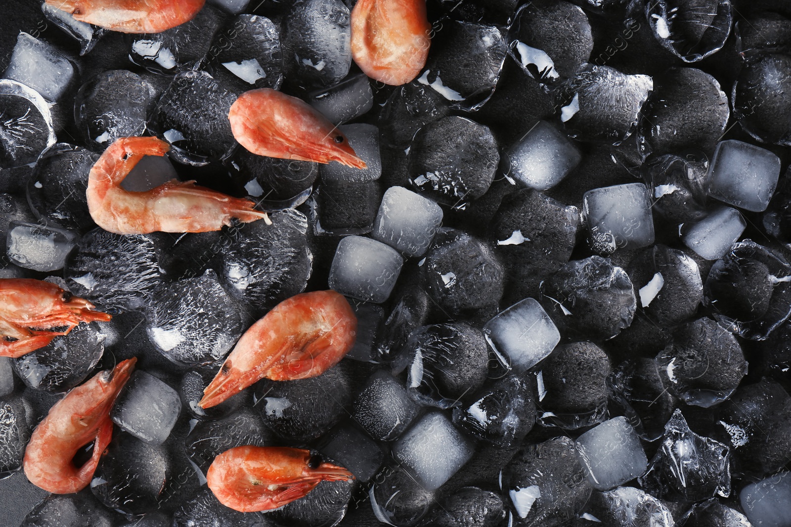 Photo of Flat lay composition with shrimps and ice cubes on dark background