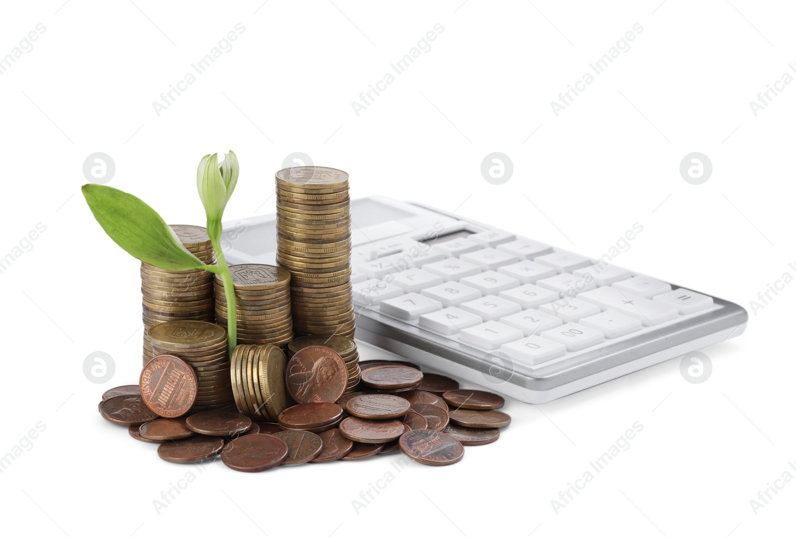 Photo of Stacks of coins with green plant and calculator on white background. Investment concept