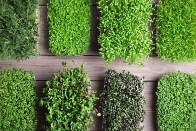 Photo of Fresh organic microgreens assortment on grey wooden table, flat lay