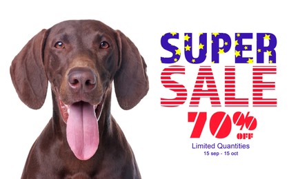 Advertising poster Pet Shop SALE. Cute dog and discount offer on white background