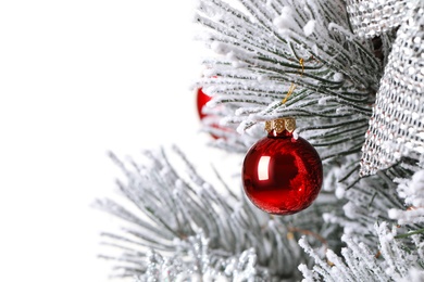 Beautiful Christmas tree with festive decor on white background