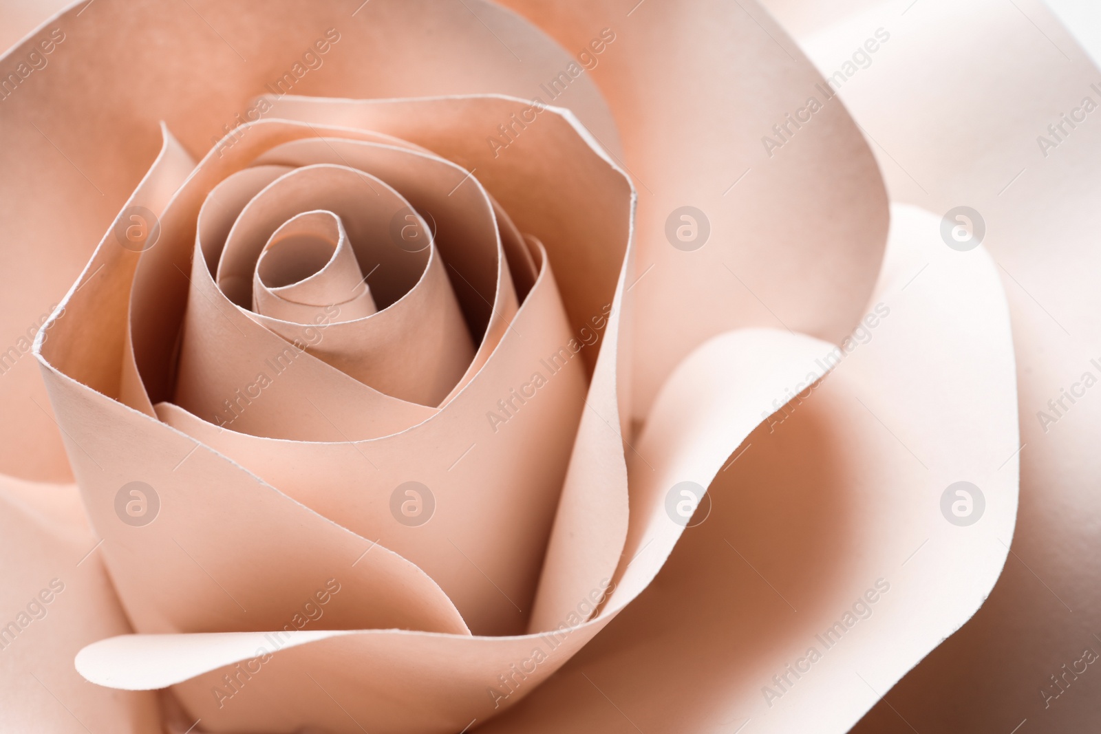 Photo of Beautiful beige flower made of paper as background, closeup