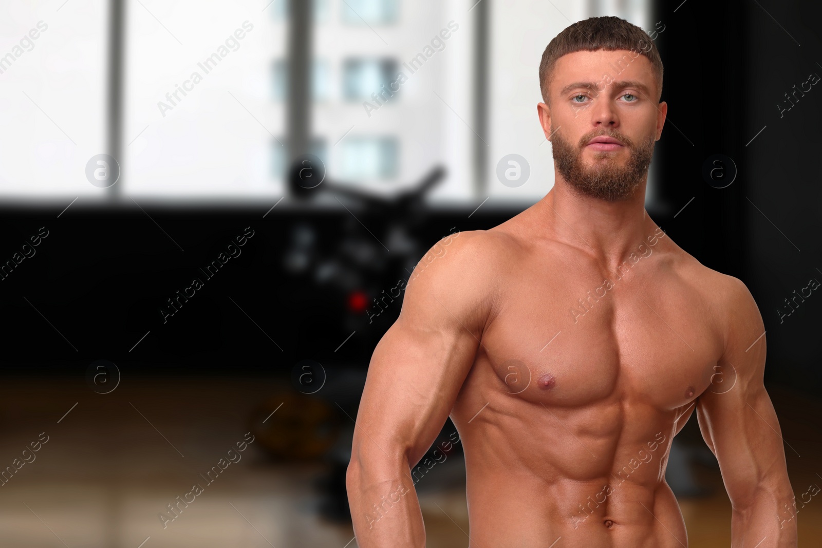 Image of Handsome bodybuilder with muscular body in gym, space for text