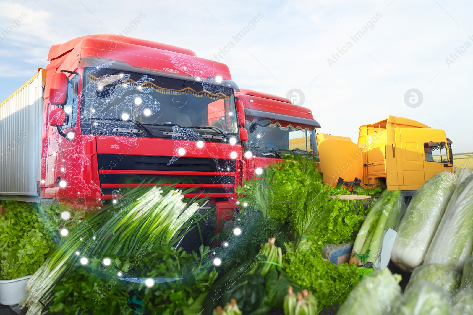 Image of Collage with trucks, world globe, vegetables and herbs. Wholesale concept