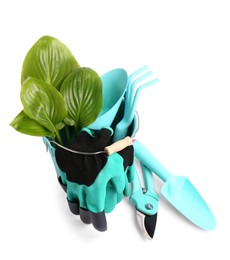 Photo of Gardening gloves, tools and plant on white background