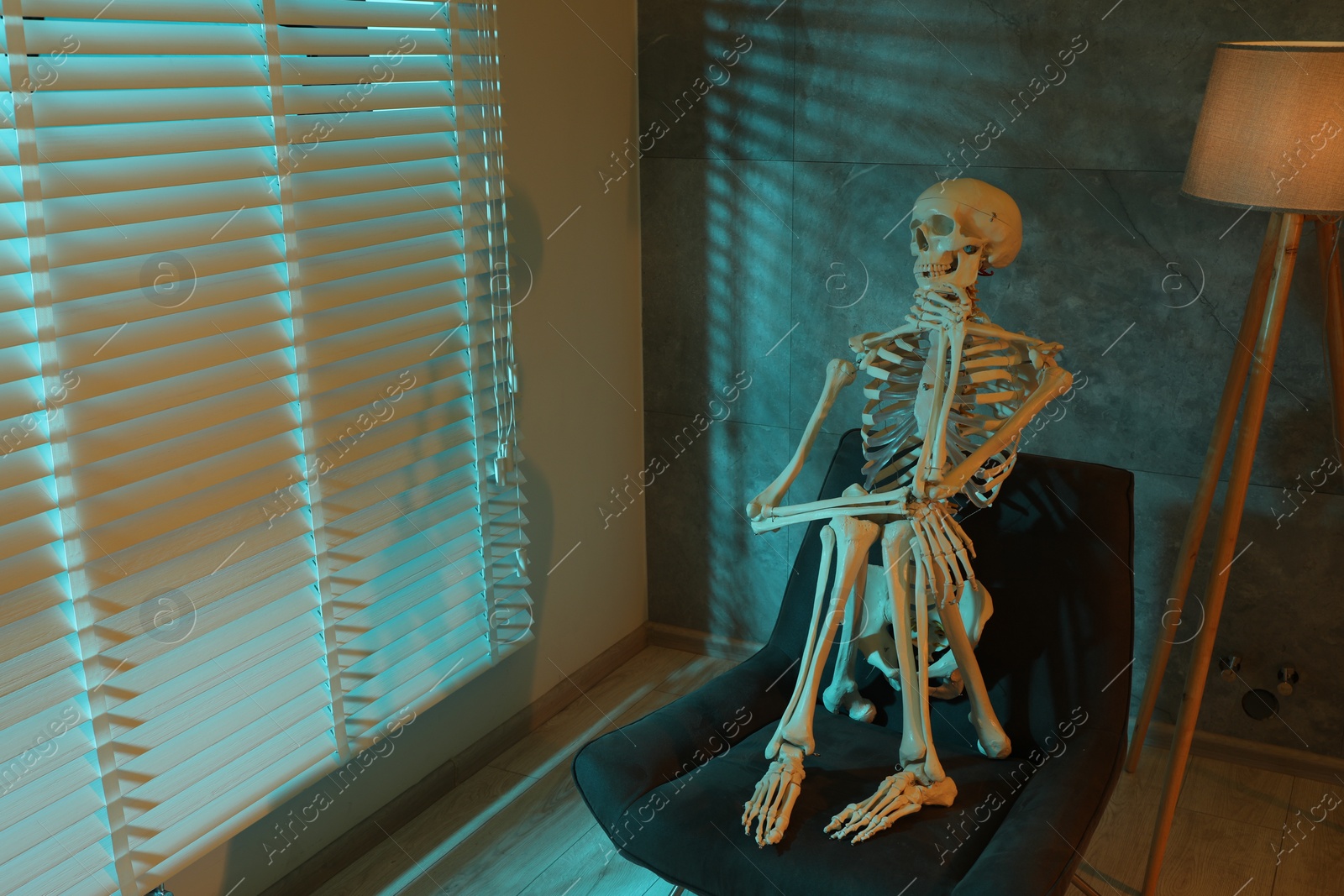 Photo of Waiting concept. Human skeleton sitting in armchair at home, space for text