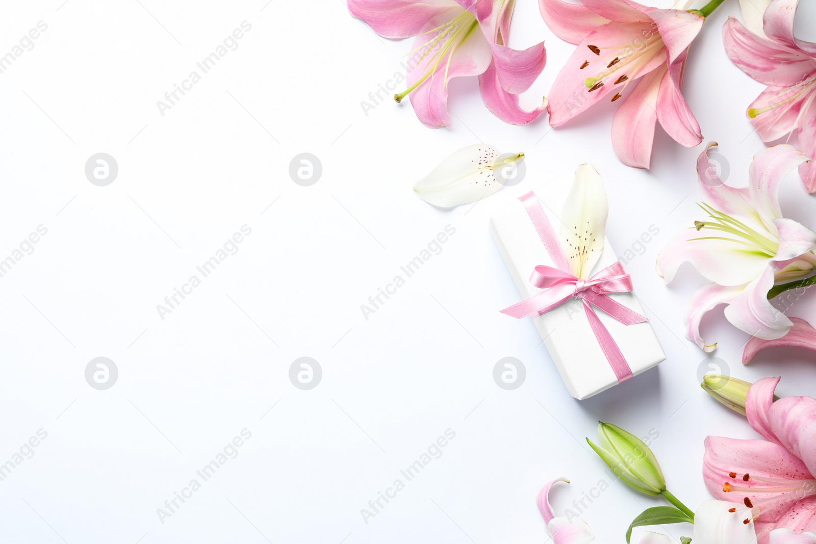 Photo of Flat lay composition with beautiful blooming lily flowers on white background