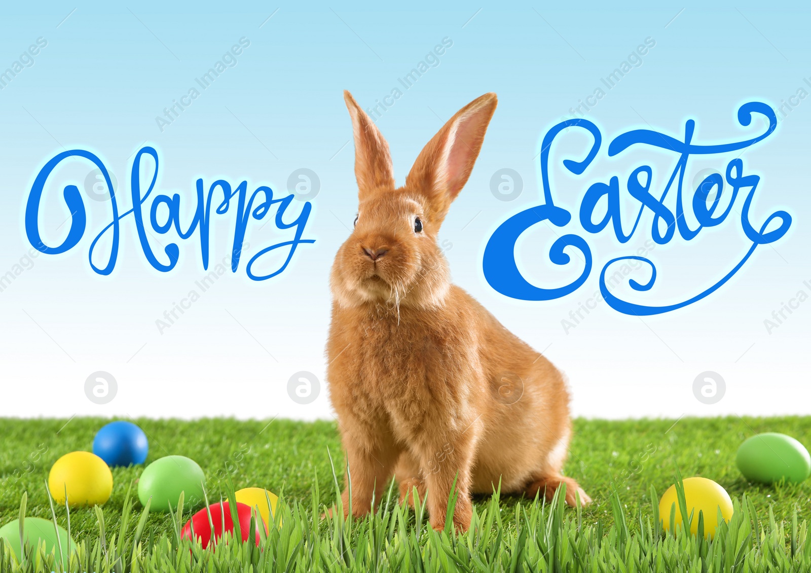 Image of Happy Easter. Adorable bunny and dyed eggs on green grass outdoors