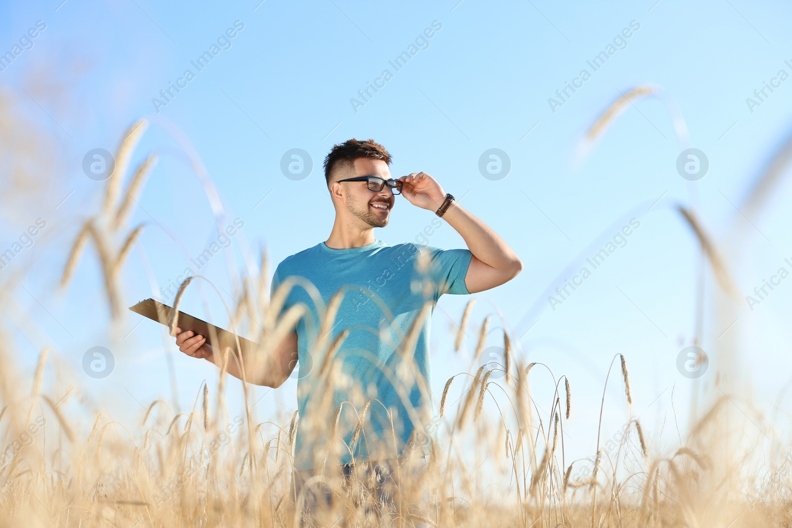 Photo of Agronomist with clipboard in wheat field. Cereal grain crop