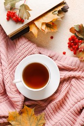 Flat lay composition with cup of aromatic tea and soft pink sweater. Autumn atmosphere