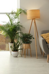 Photo of Stylish living room interior with beautiful houseplants near window