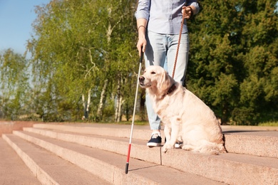 Photo of Guide dog helping blind person with long cane going down stairs outdoors. Space for text