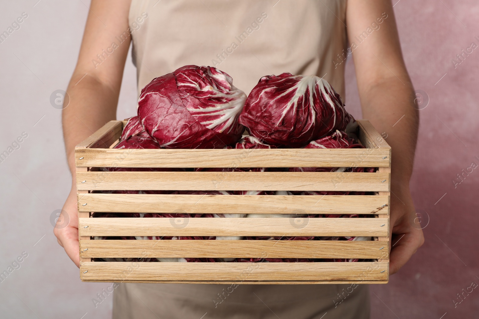 Photo of Woman with ripe radicchios on pink background, closeup