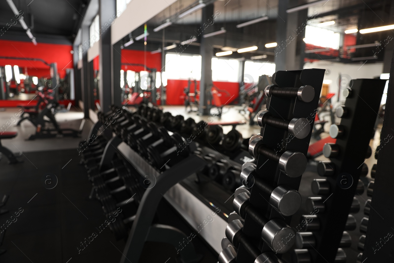 Photo of Many different dumbbells on stand in gym