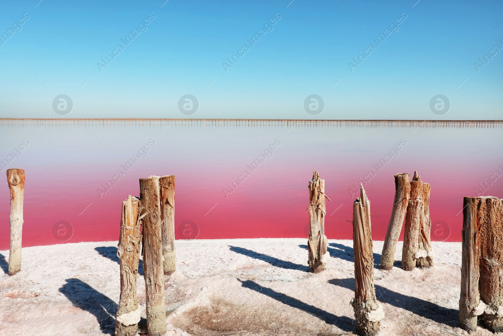 Photo of Beautiful view of pink lake on summer day