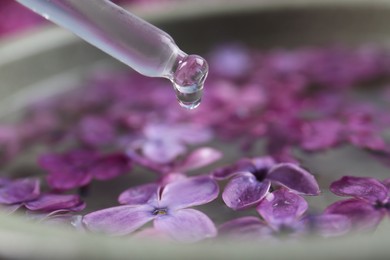 Photo of Dripping essential lilac oil into bowl, closeup