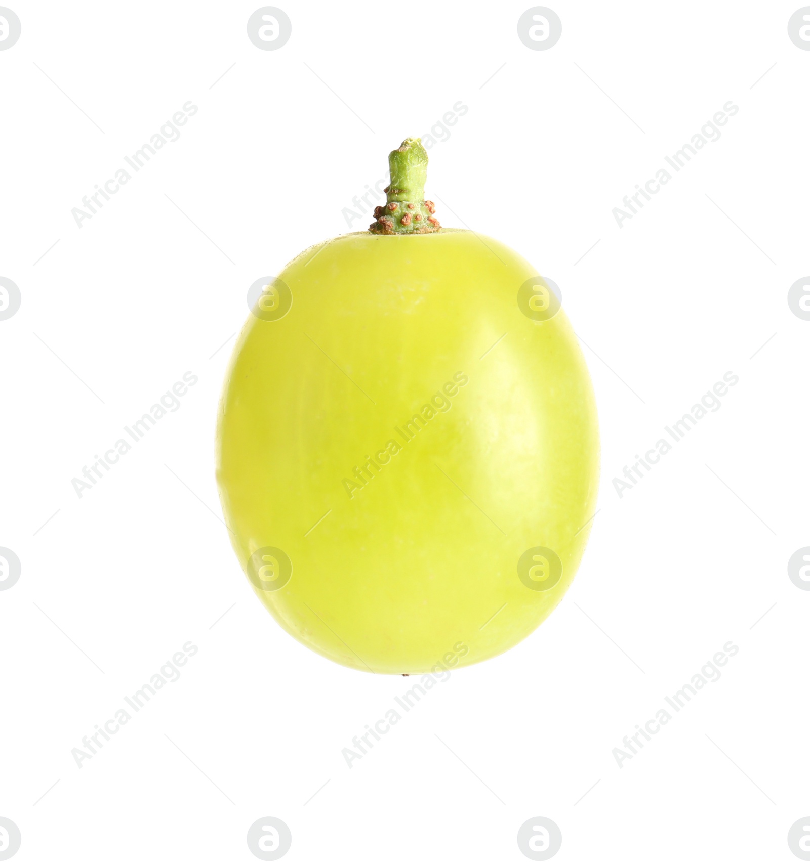 Photo of Delicious ripe green grape isolated on white