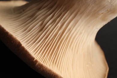 Photo of Macro photo of oyster mushroom on black background