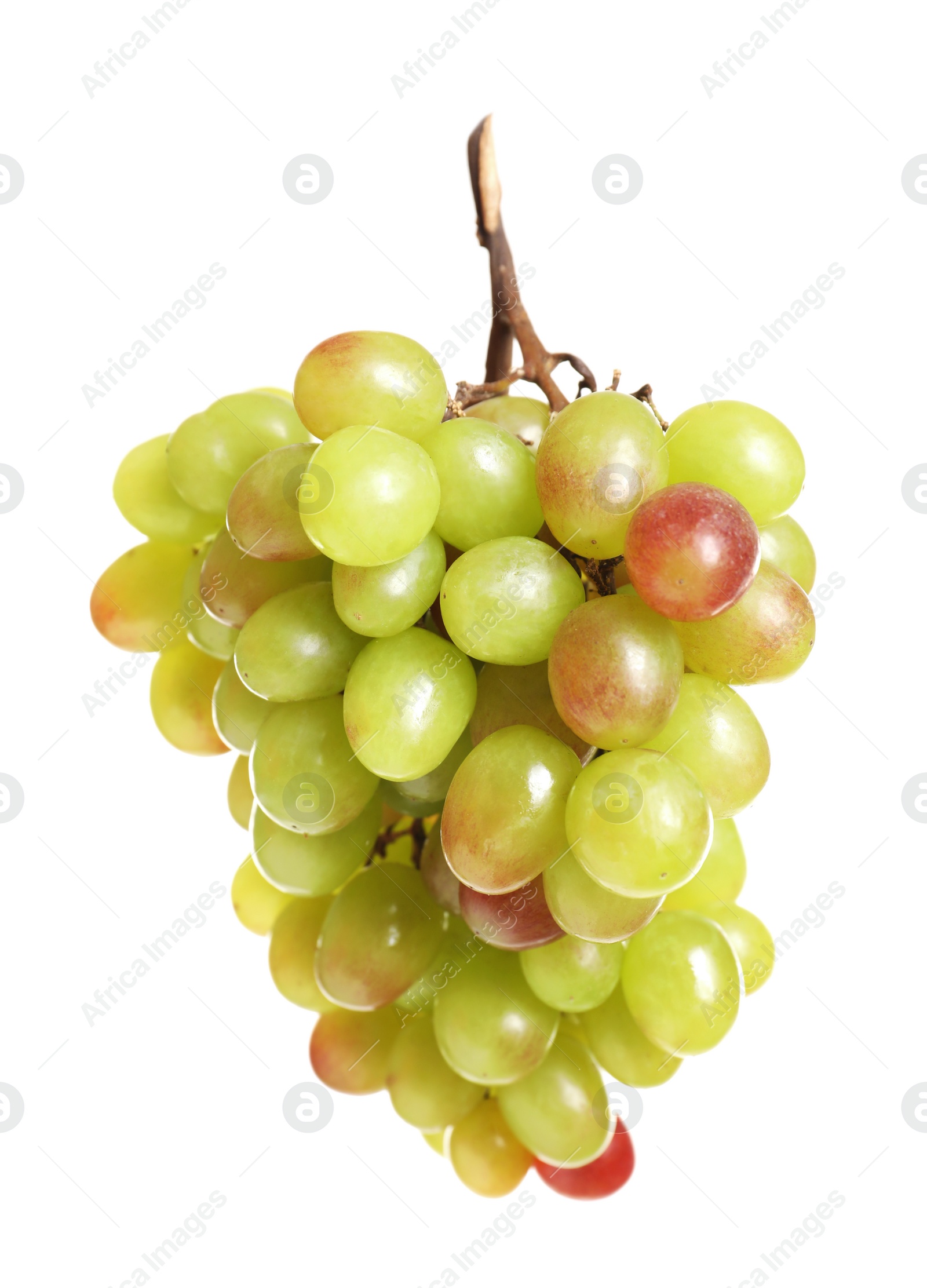 Photo of Bunch of fresh ripe juicy grapes on white background