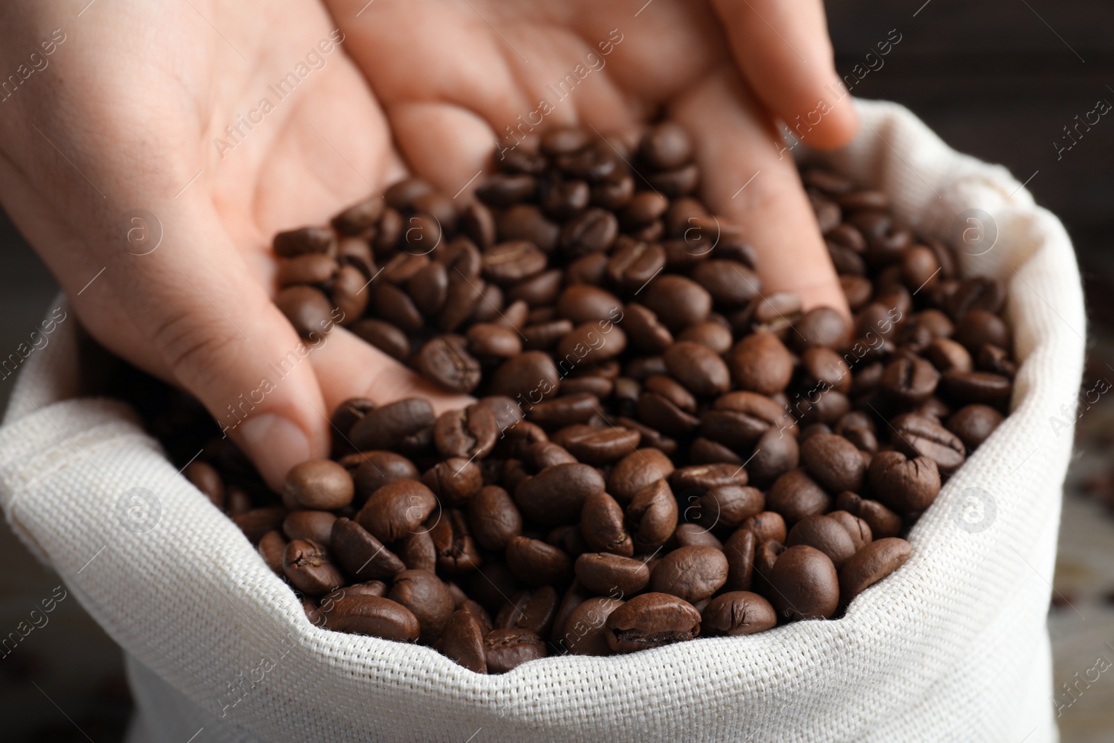 Photo of Woman taking roasted coffee beans from bag, closeup